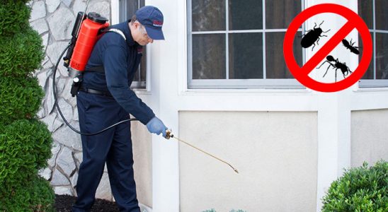 Murgul Akrep İlaçlama böcek ilaçlama ve haşere kontrolü — ilaclama-tr.com